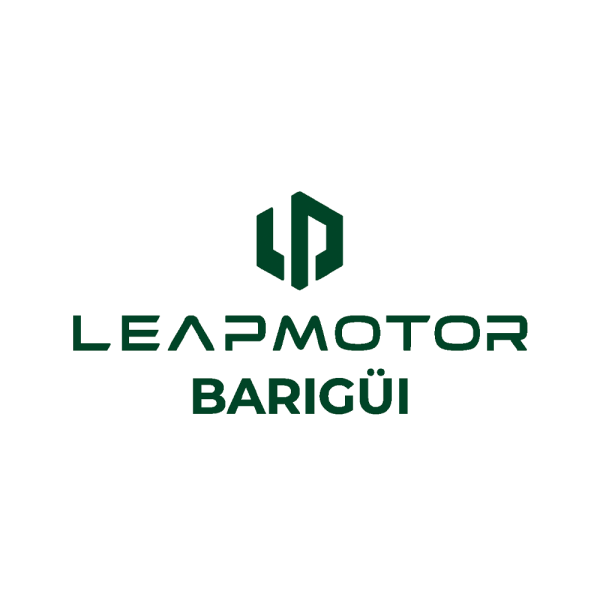 LeapMotor